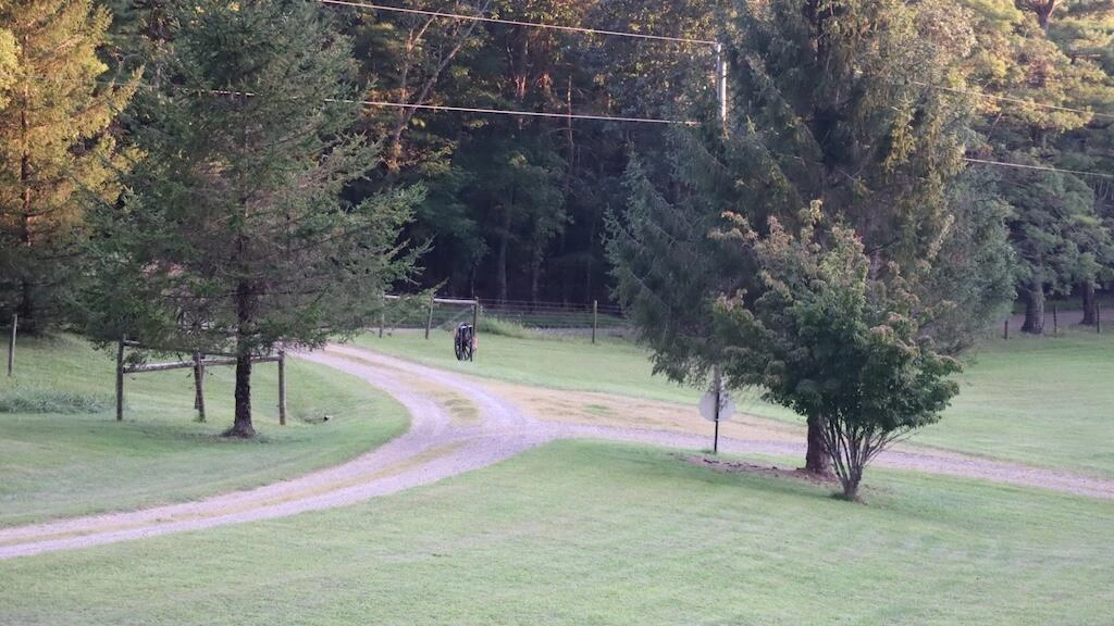 1247 Cannady School RD - Photo 47