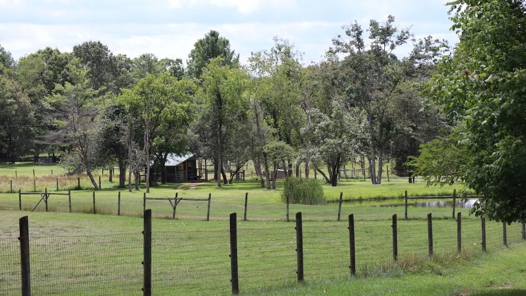 1247 Cannady School RD - Photo 7