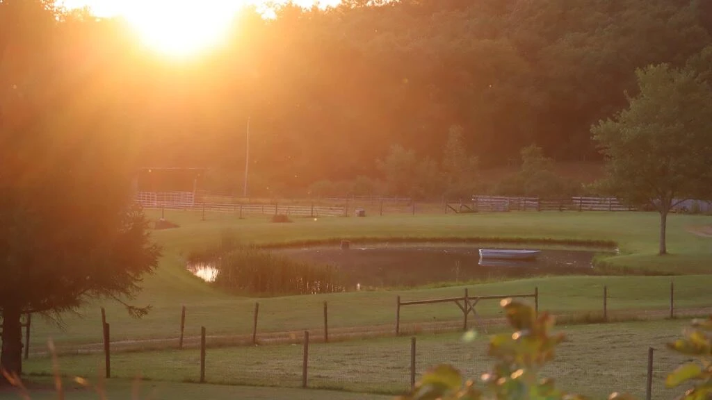 1247 Cannady School RD - Photo 8