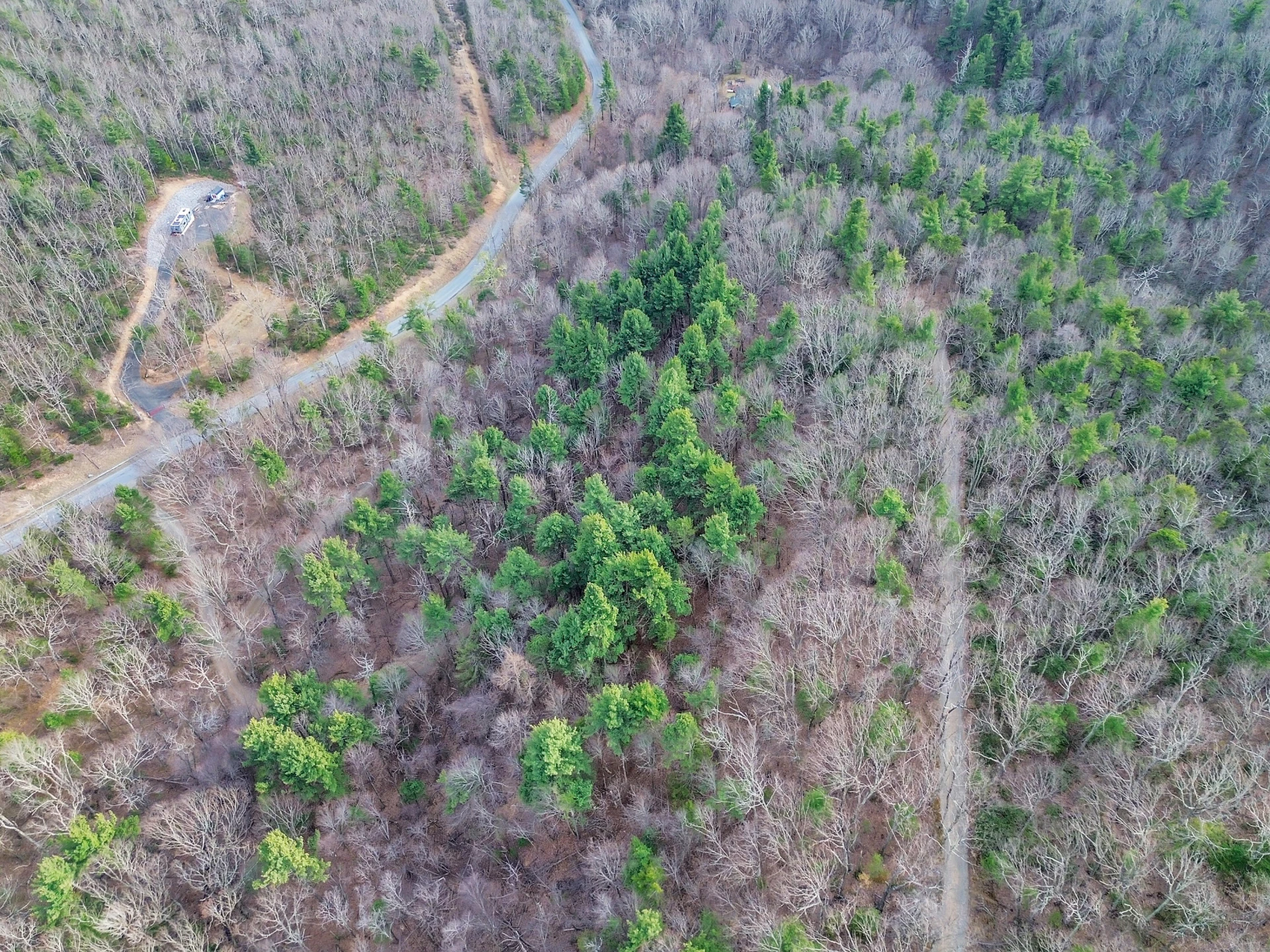 7923 Poor Mountain RD - Photo 56