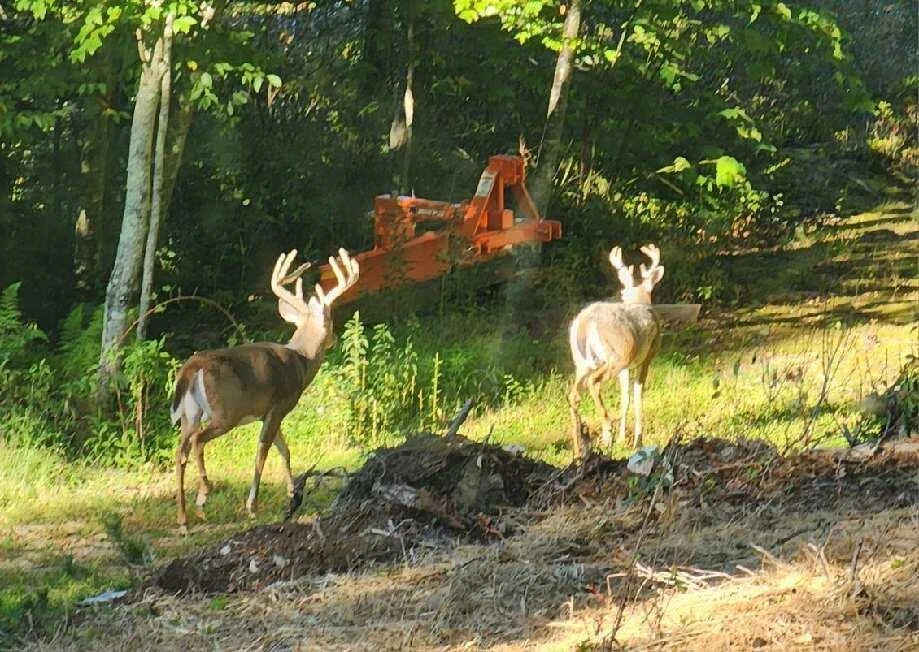 7923 Poor Mountain RD - Photo 68