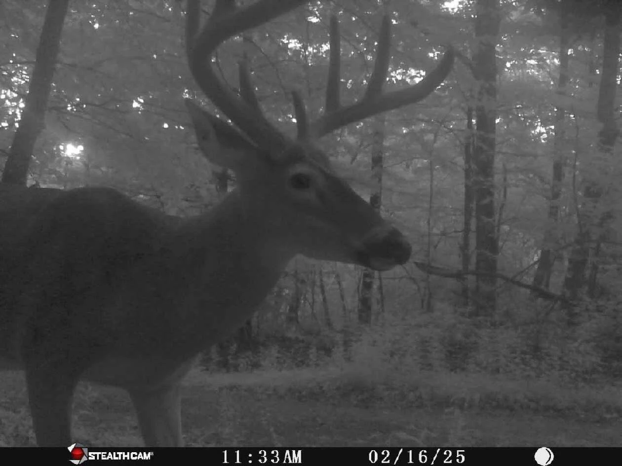 7923 Poor Mountain RD - Photo 70