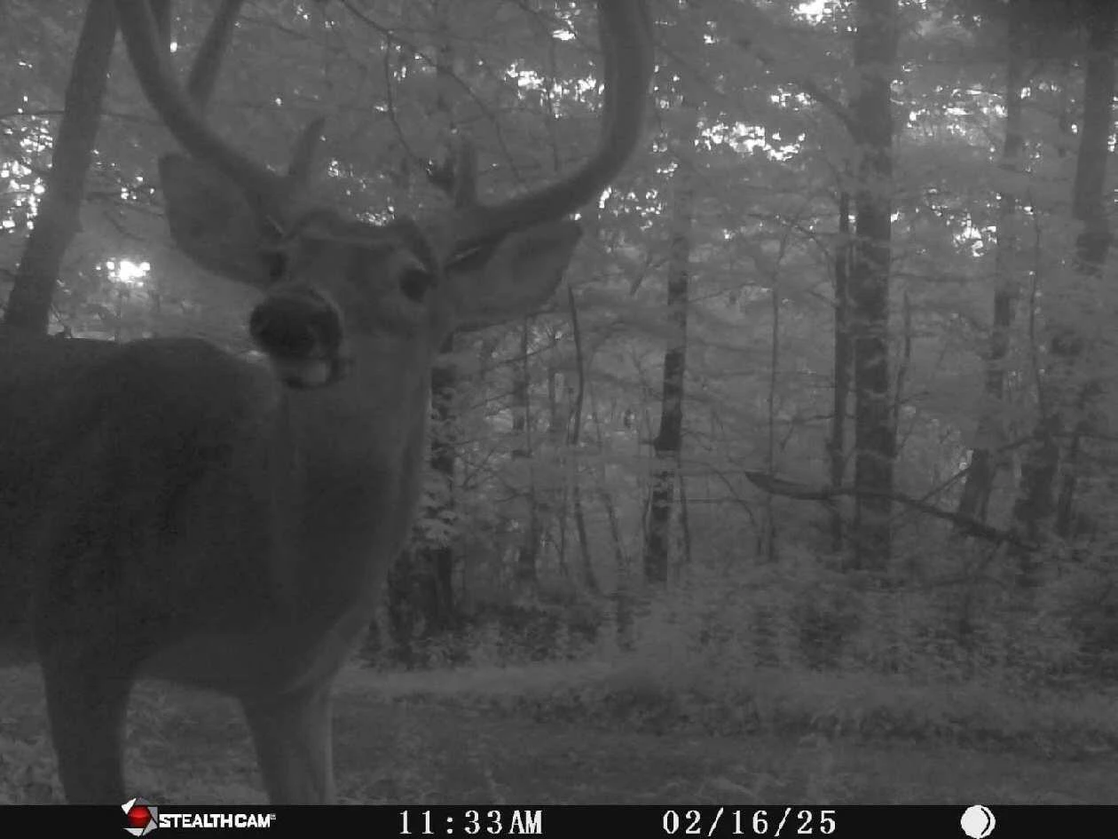 7923 Poor Mountain RD - Photo 71