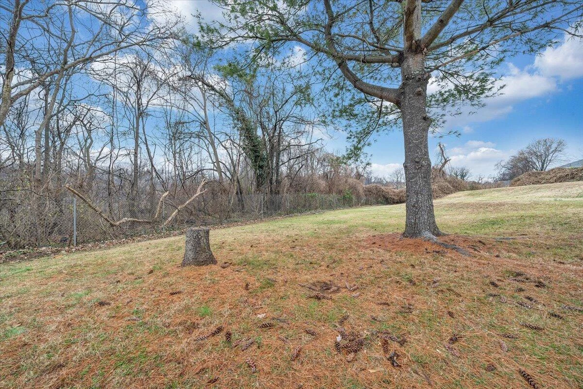 1208 Cleveland AVE - Photo 28