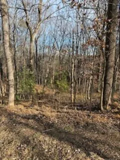 0 Sunnycrest RD, Roanoke, VA, 24018