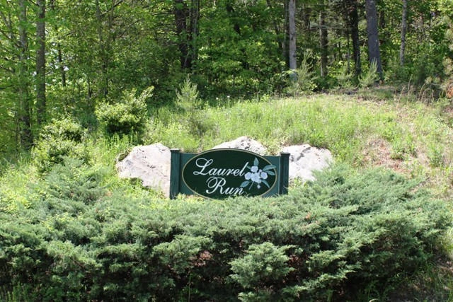 00 Ginseng LN - Photo 3