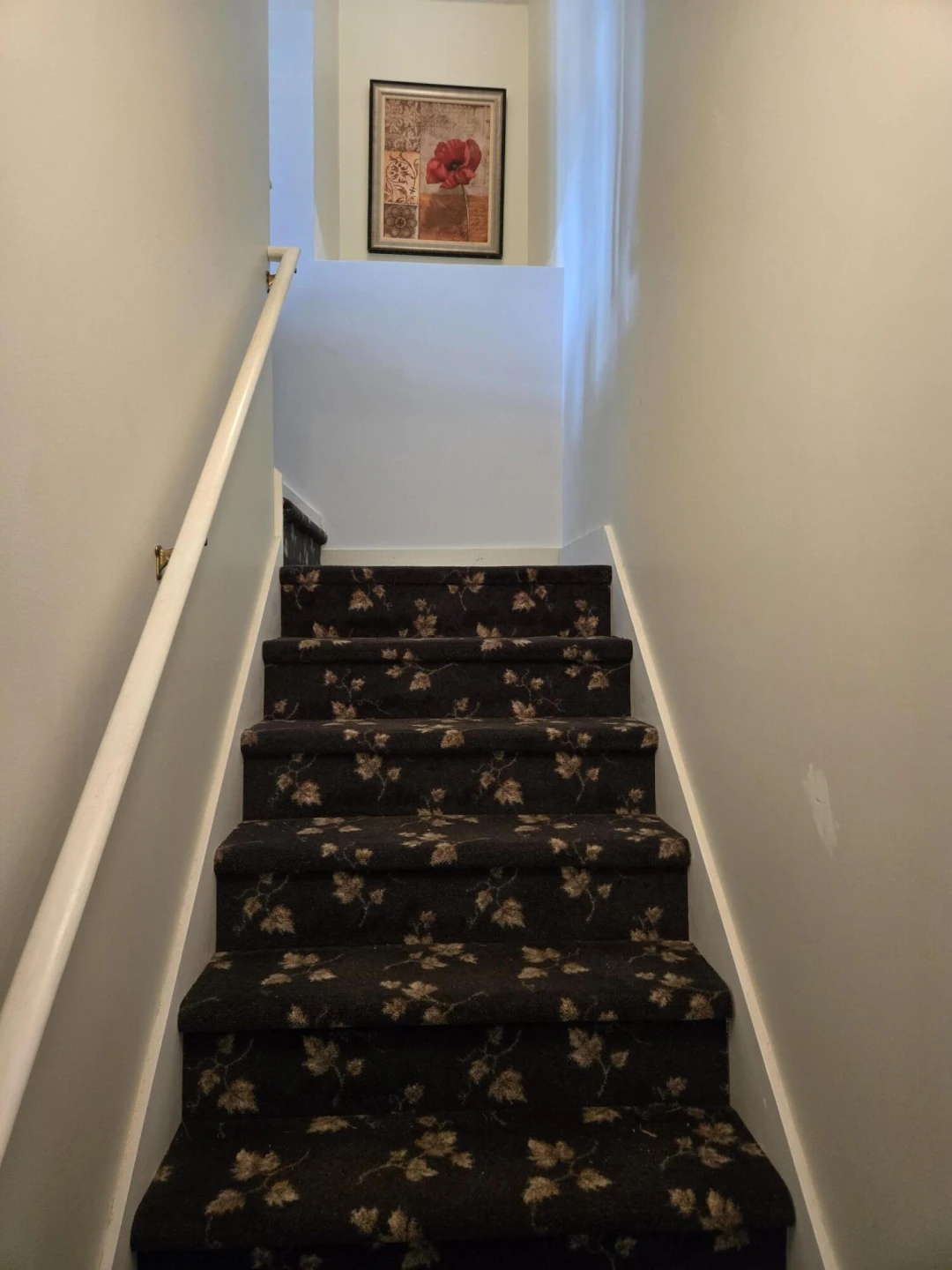 6733 Floyd - Photo 59