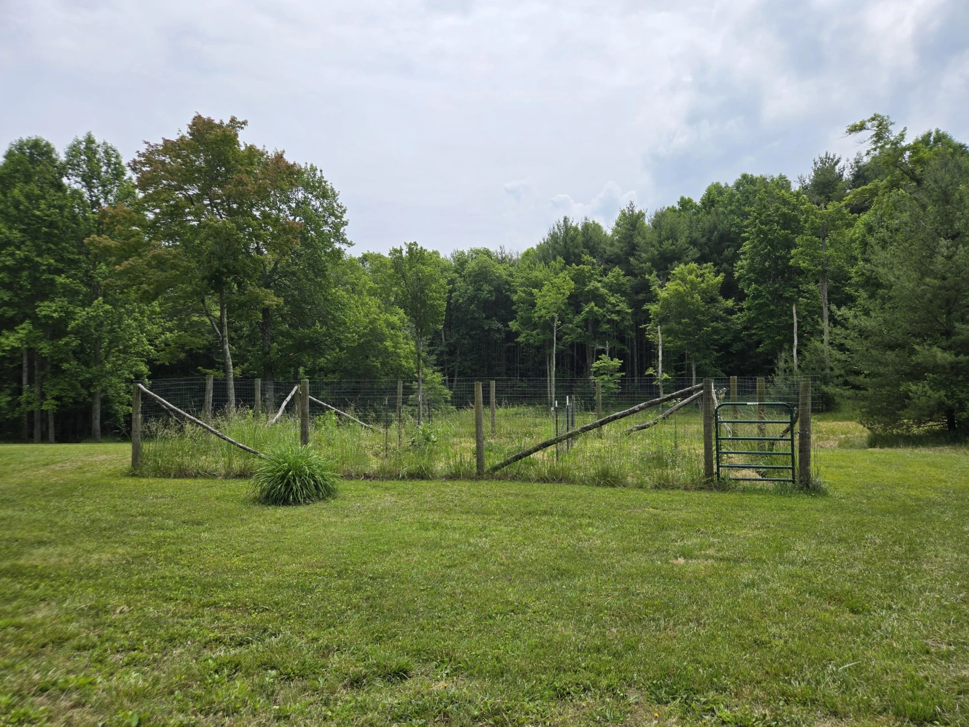 6733 Floyd - Photo 66