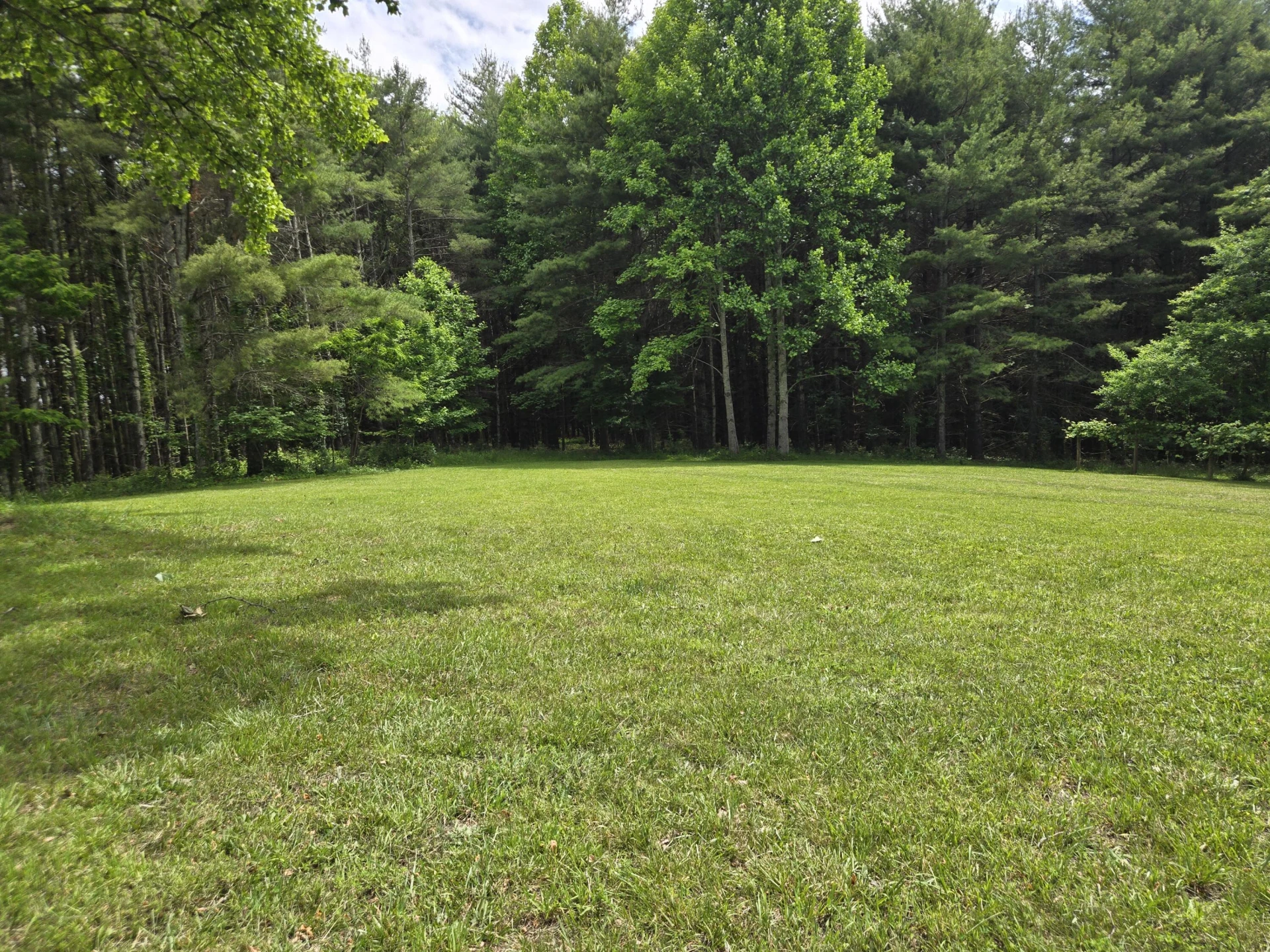 6733 Floyd - Photo 74