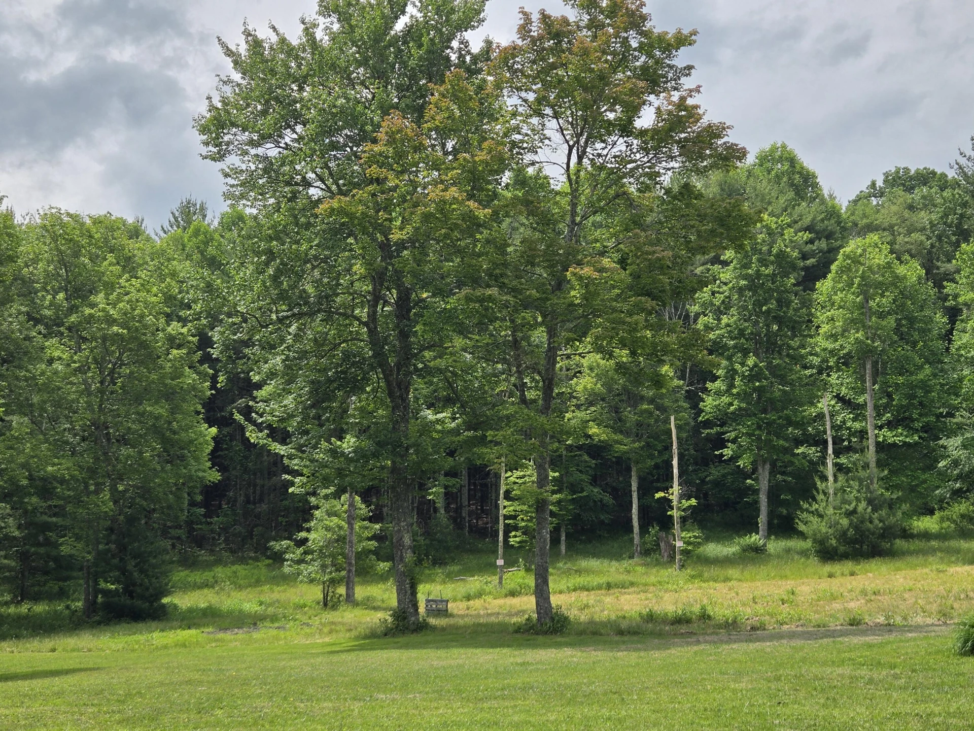 6733 Floyd - Photo 75