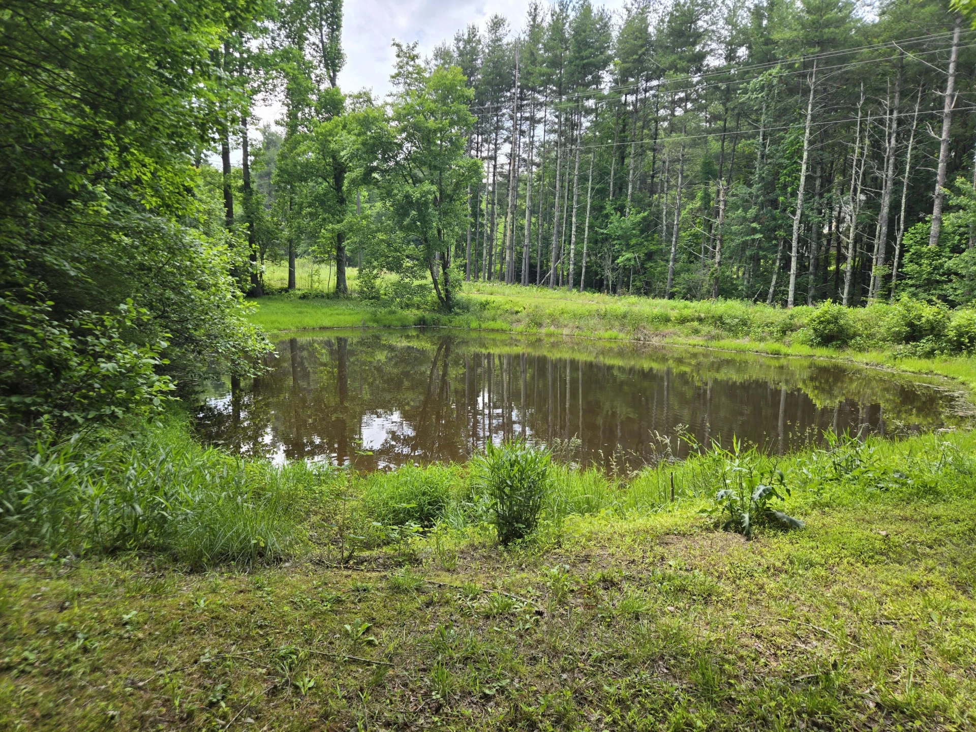 6733 Floyd - Photo 77