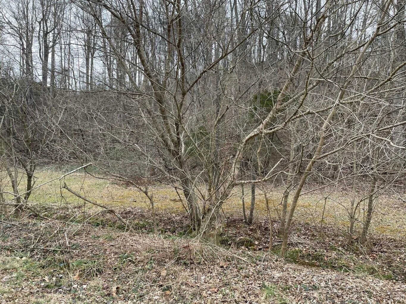 0 LEE HWY - Photo 2