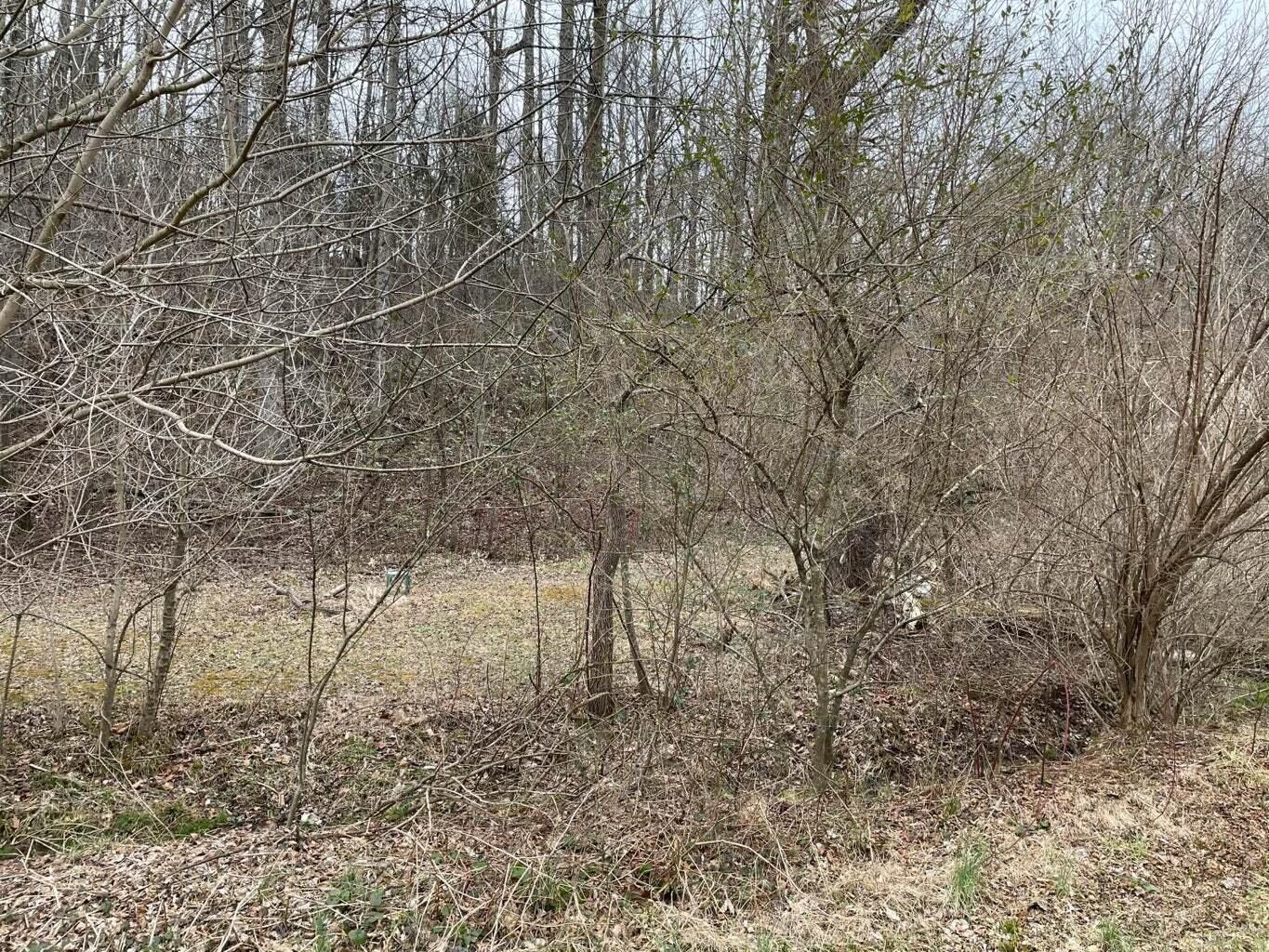 0 LEE HWY - Photo 3