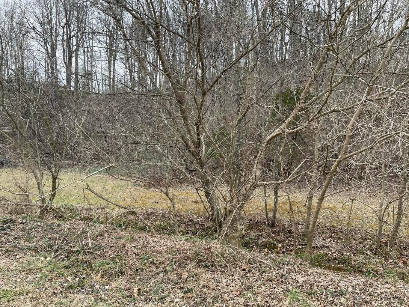 0 LEE HWY - Photo 4