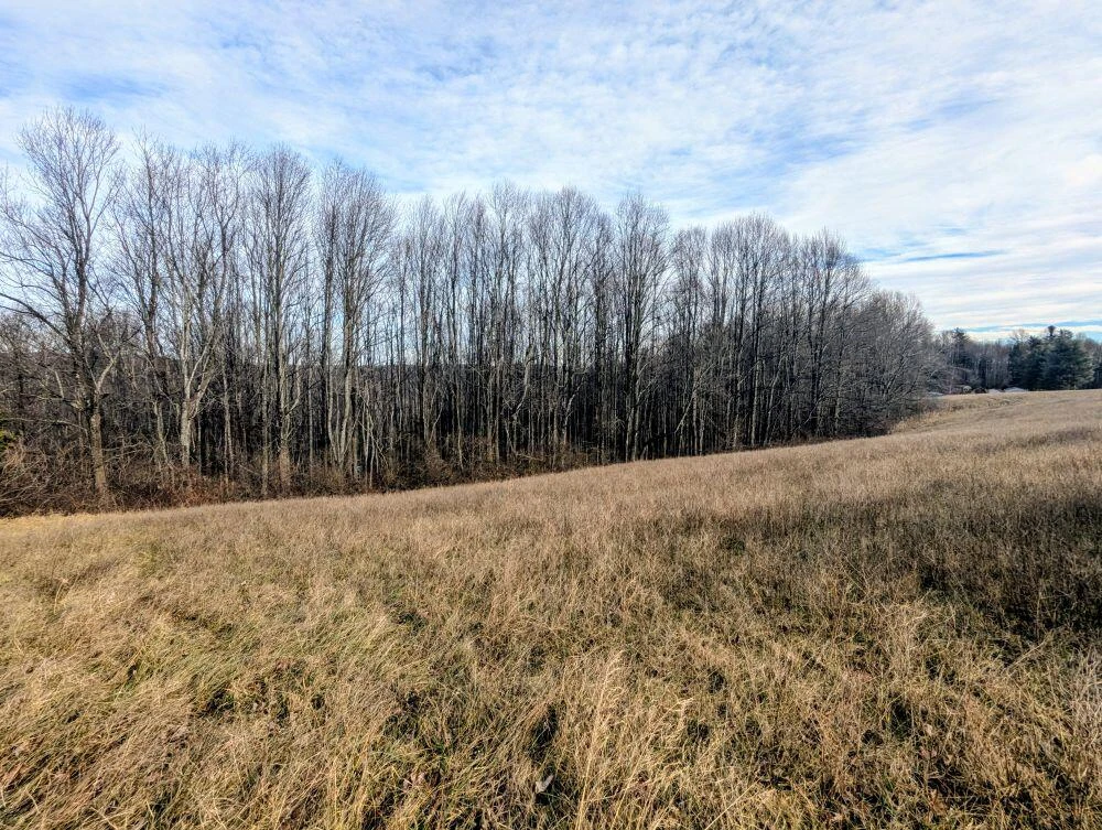 TBD Pinnacle LN - Photo 5