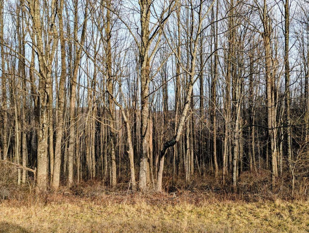 TBD Pinnacle LN - Photo 6