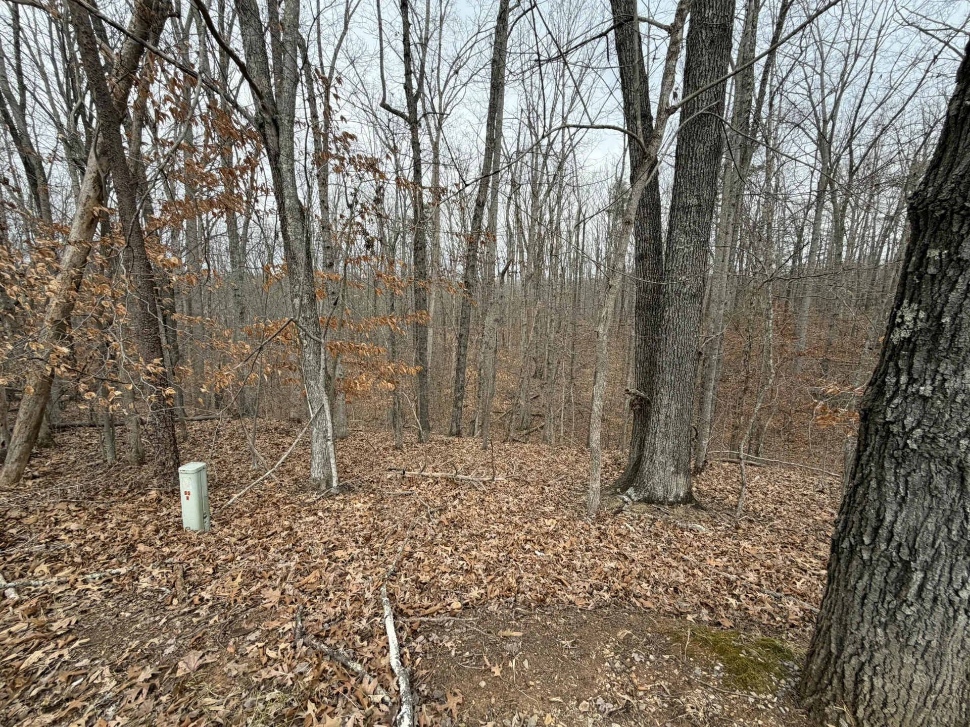 LOT 25 OAK HOLLOW RD - Photo 2