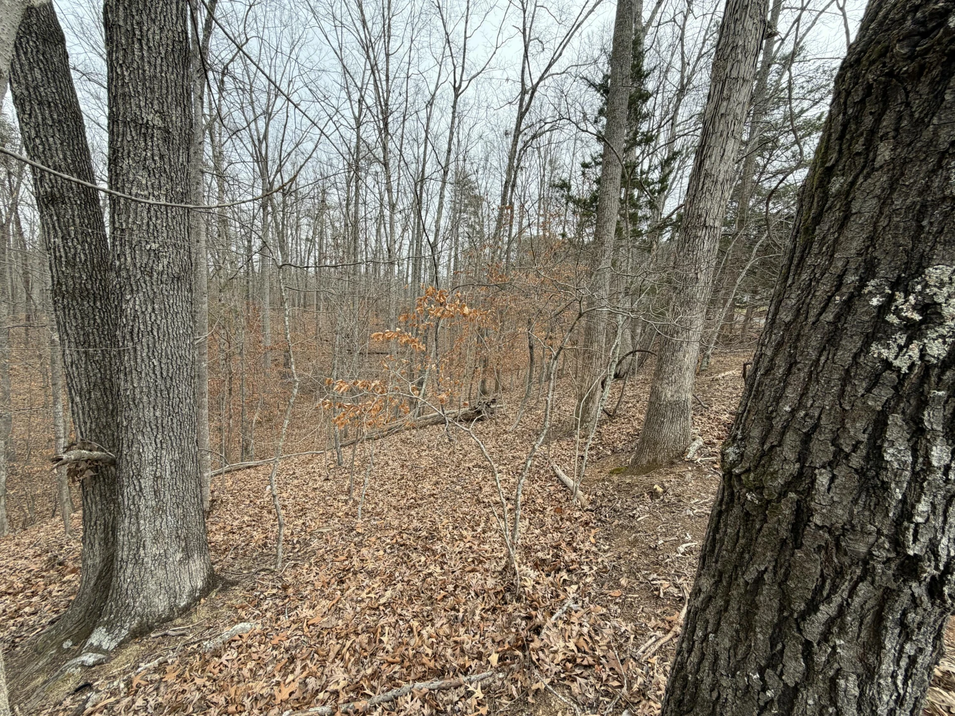 LOT 25 OAK HOLLOW RD - Photo 4
