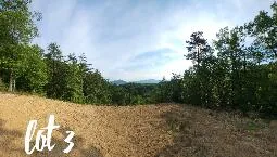 2811 Reese Mountain RD, Elliston, VA, 24087
