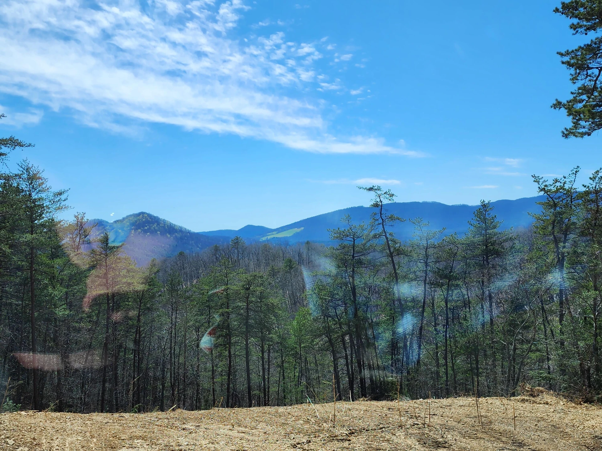 2811 Reese Mountain RD - Photo 2