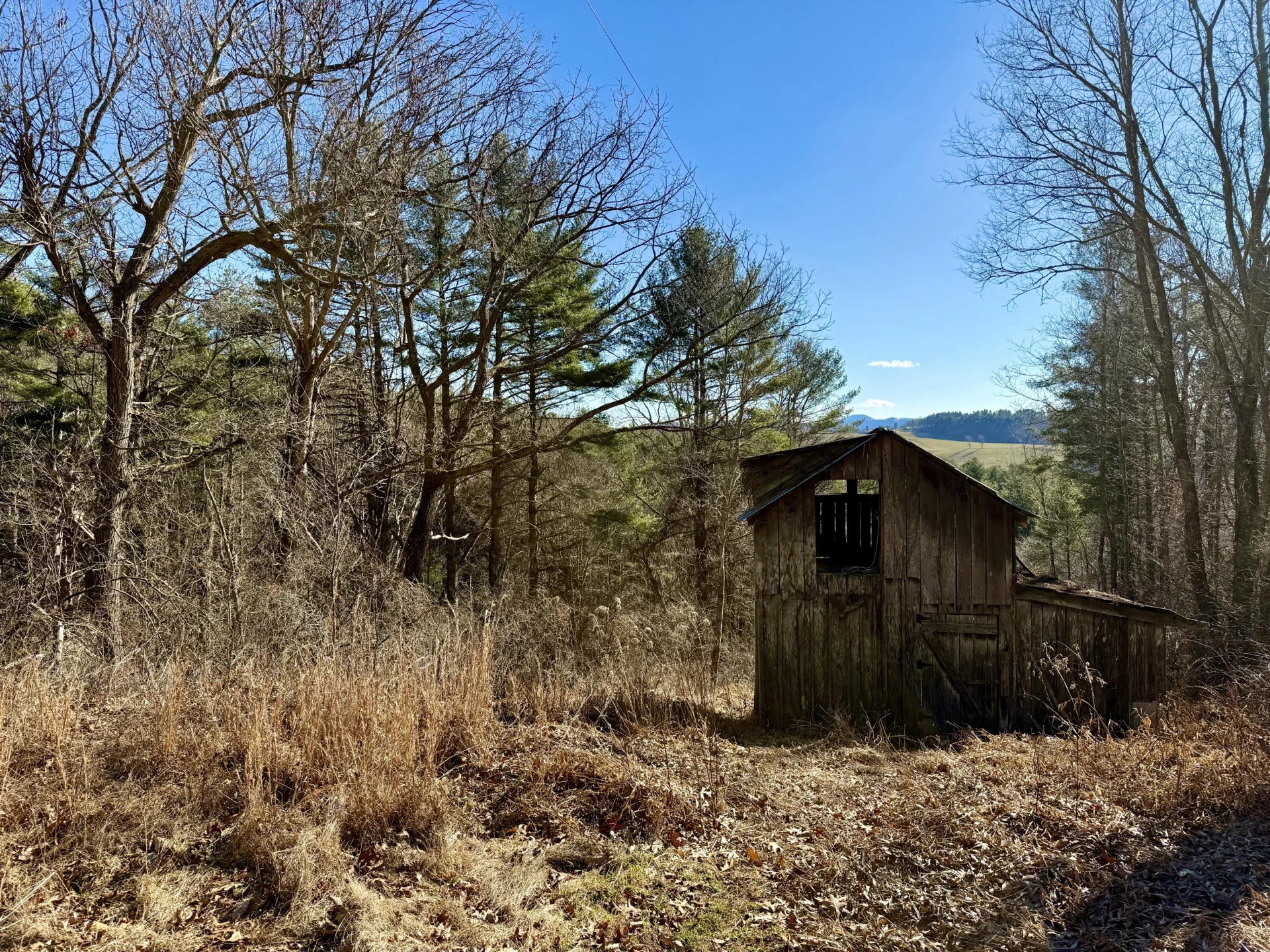 545 Slaughter Hill RD - Photo 31