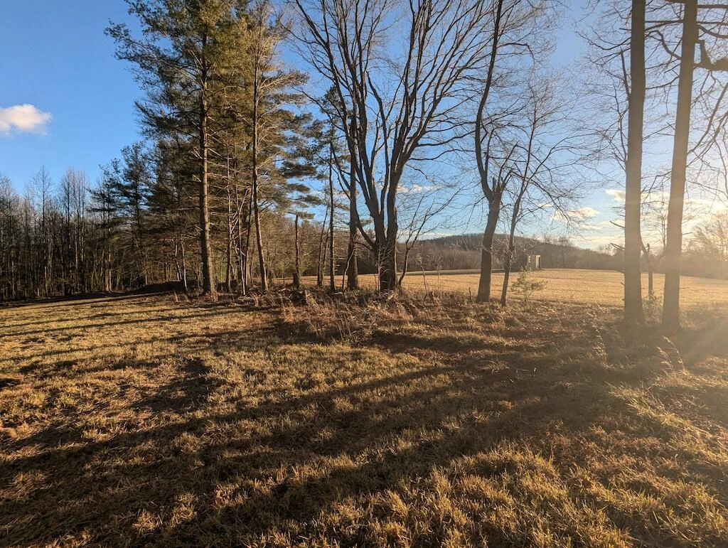 TBD Long Mountain RD - Photo 16