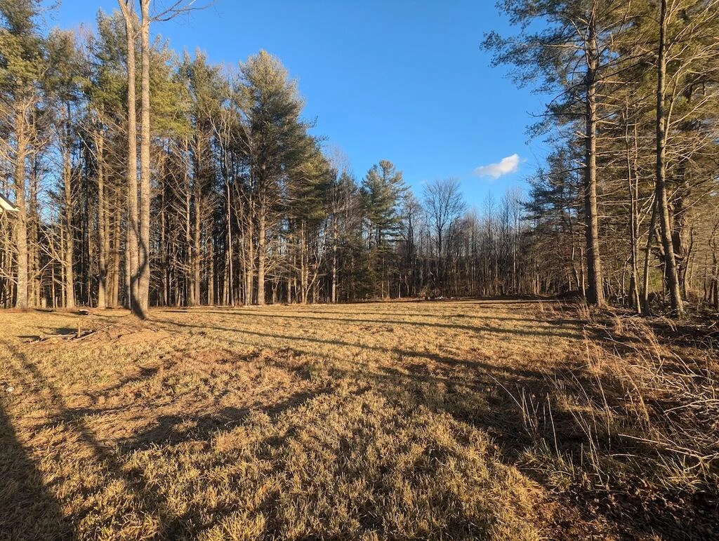 TBD Long Mountain RD - Photo 18