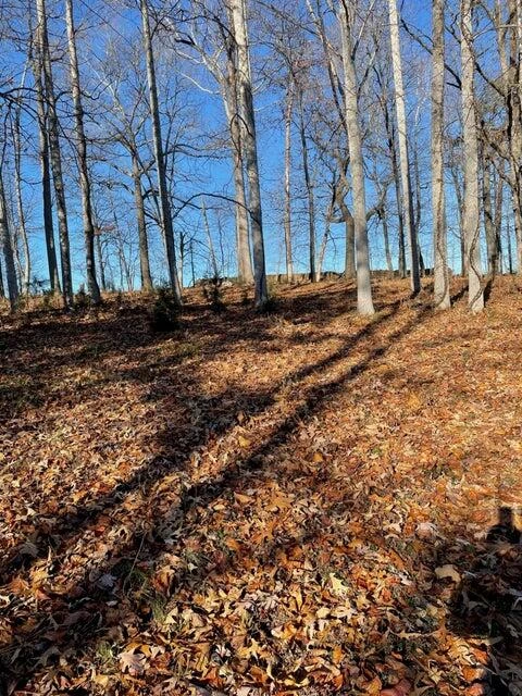 Lot 49 Lake View Pt - Photo 2