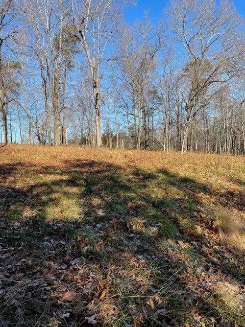 Lot 49 Lake View Pt - Photo 3