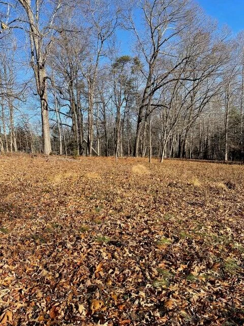 Lot 49 Lake View Pt - Photo 4