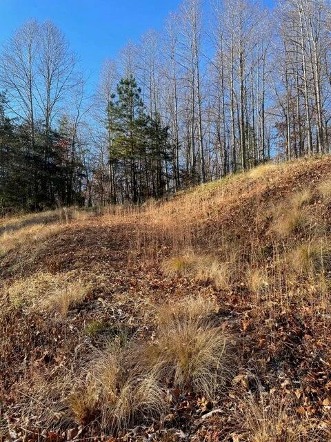 Lot 49 Lake View Pt - Photo 5