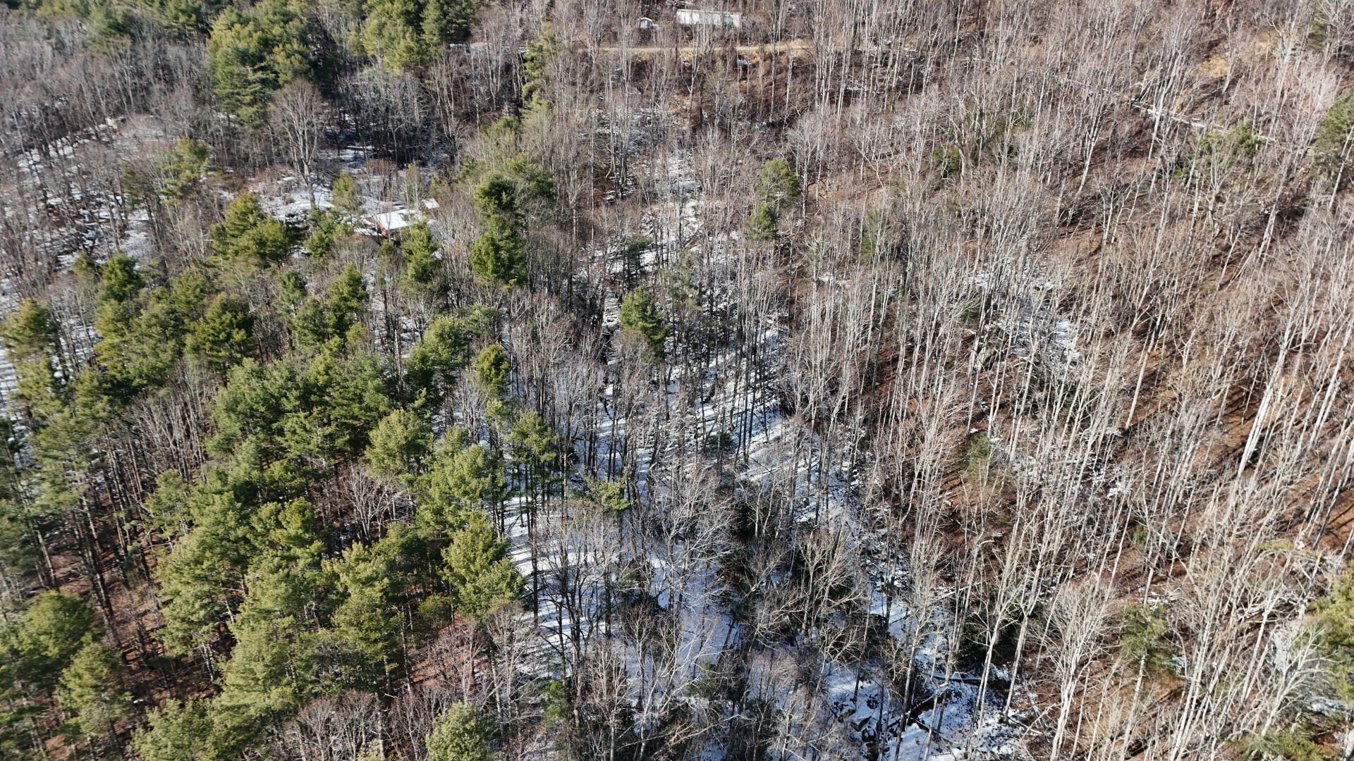 TBD Sugar Run RD - Photo 11