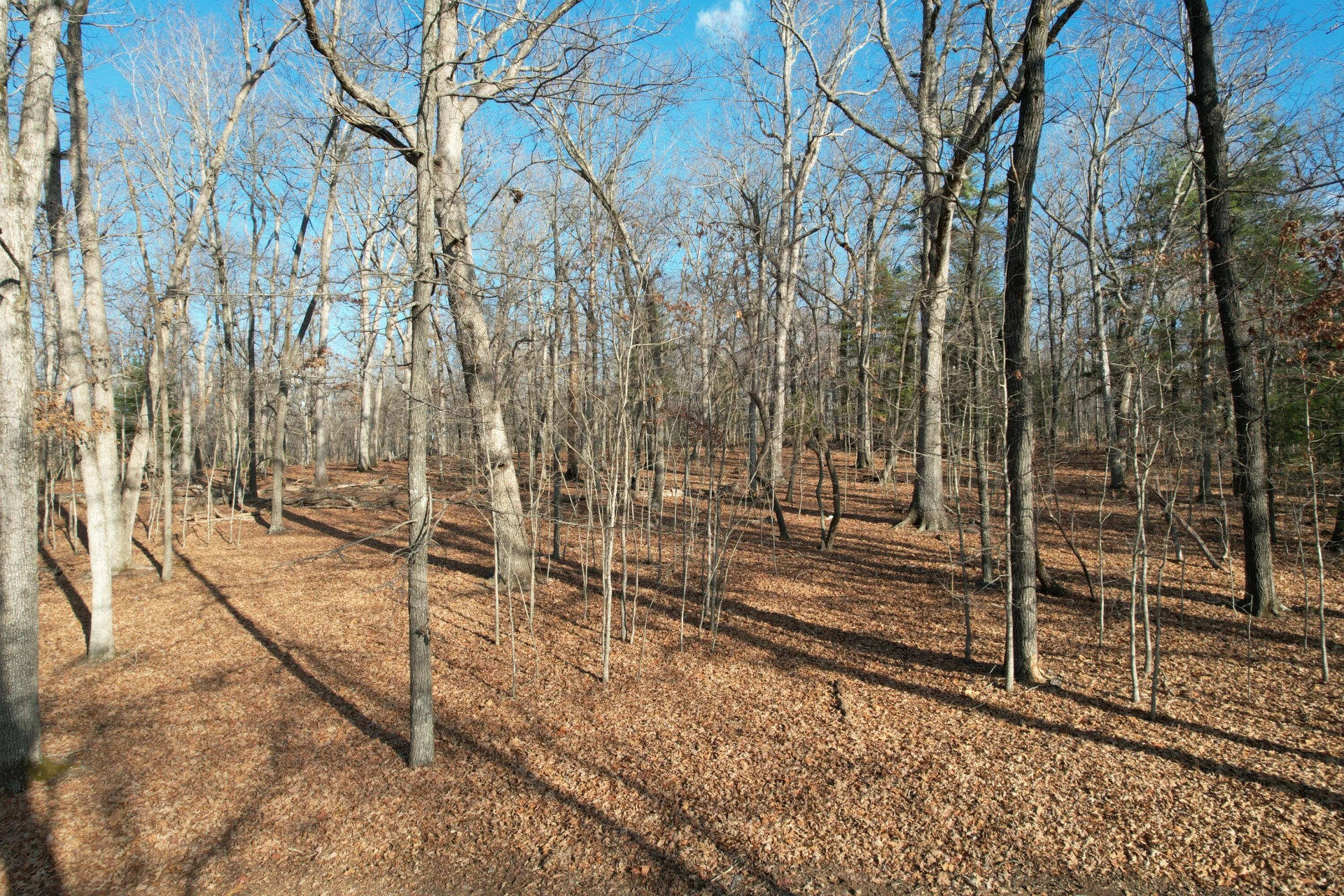 8790 Virgil H Goode Hwy - Photo 10