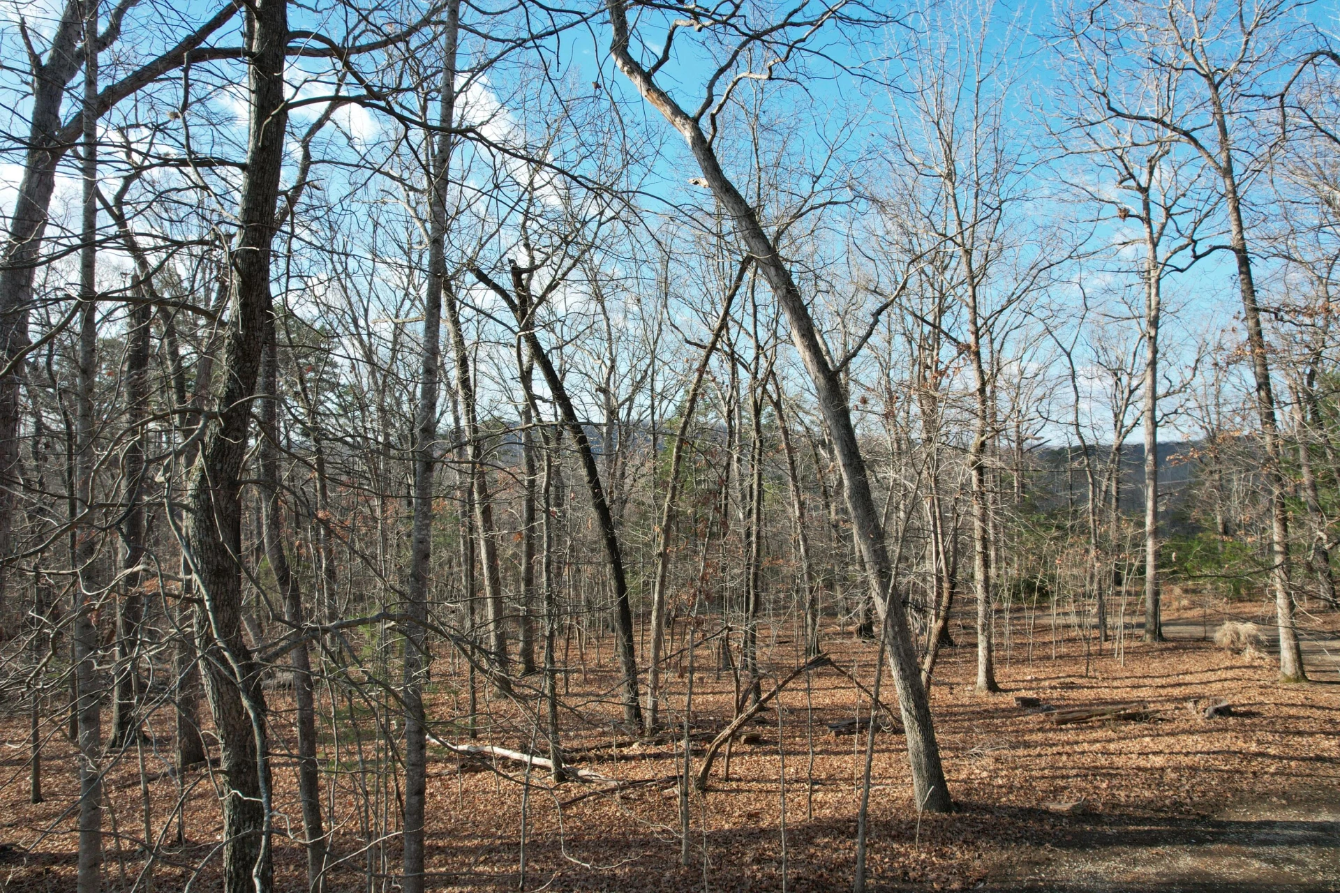 8790 Virgil H Goode Hwy - Photo 11