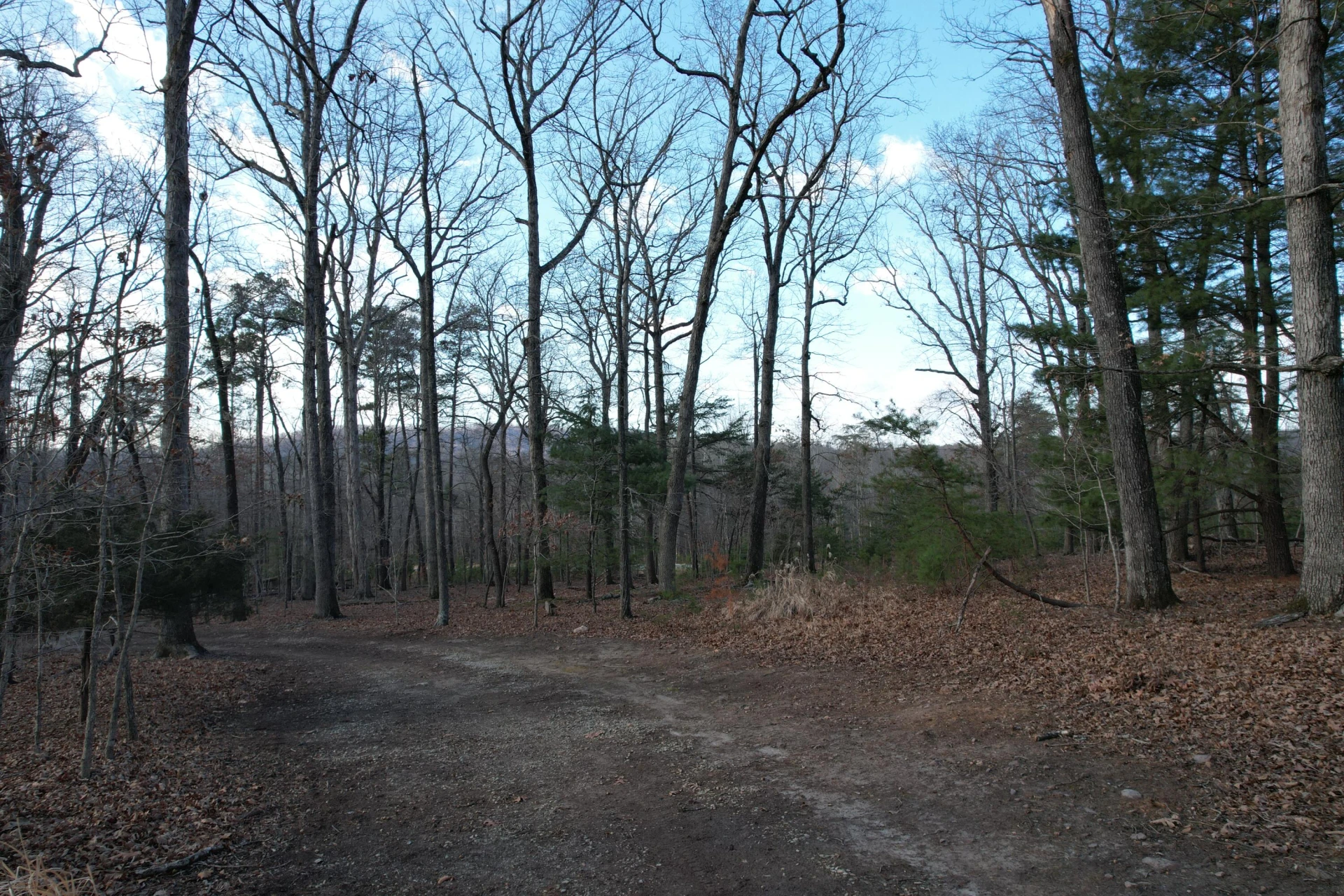 8790 Virgil H Goode Hwy - Photo 12