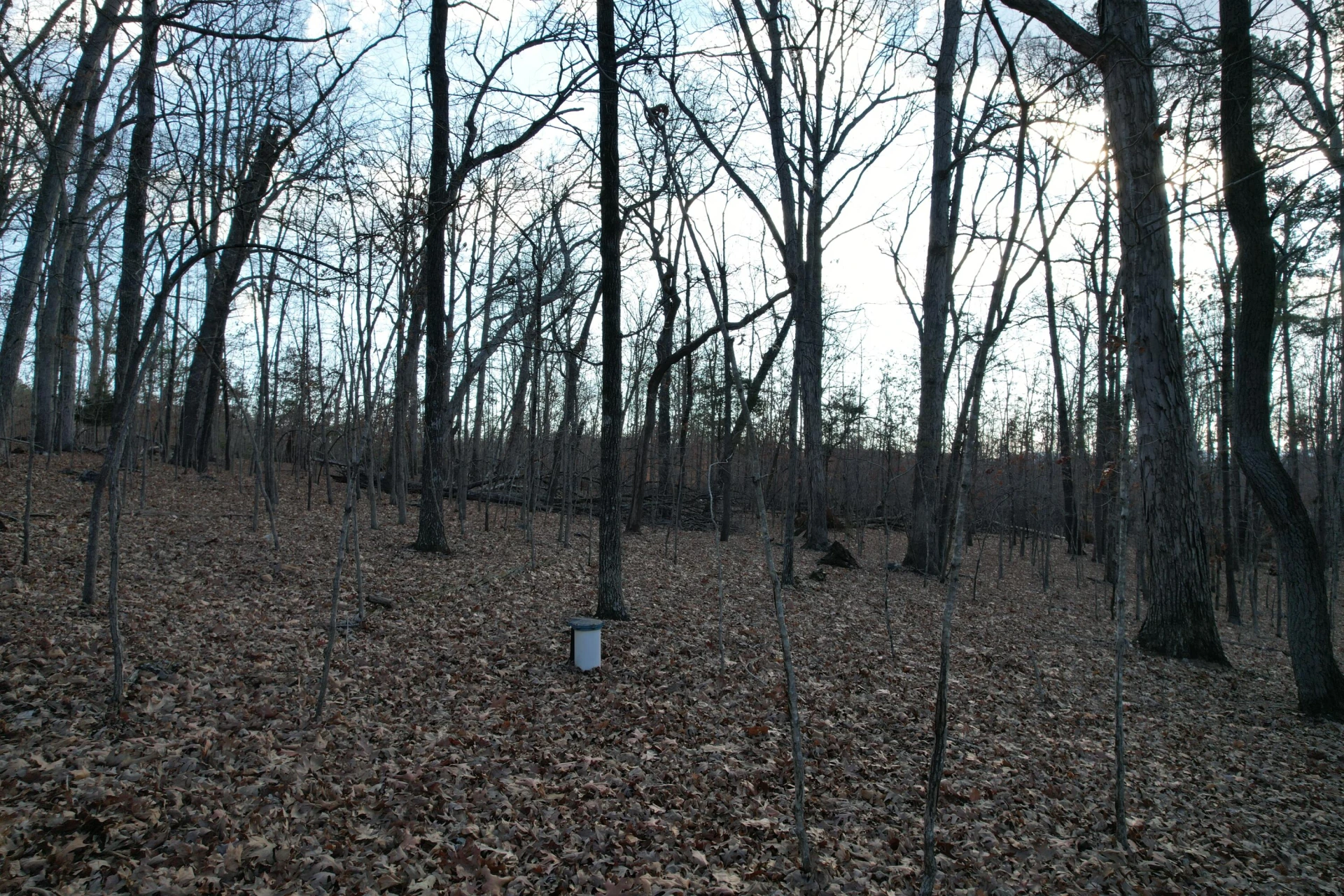 8790 Virgil H Goode Hwy - Photo 13