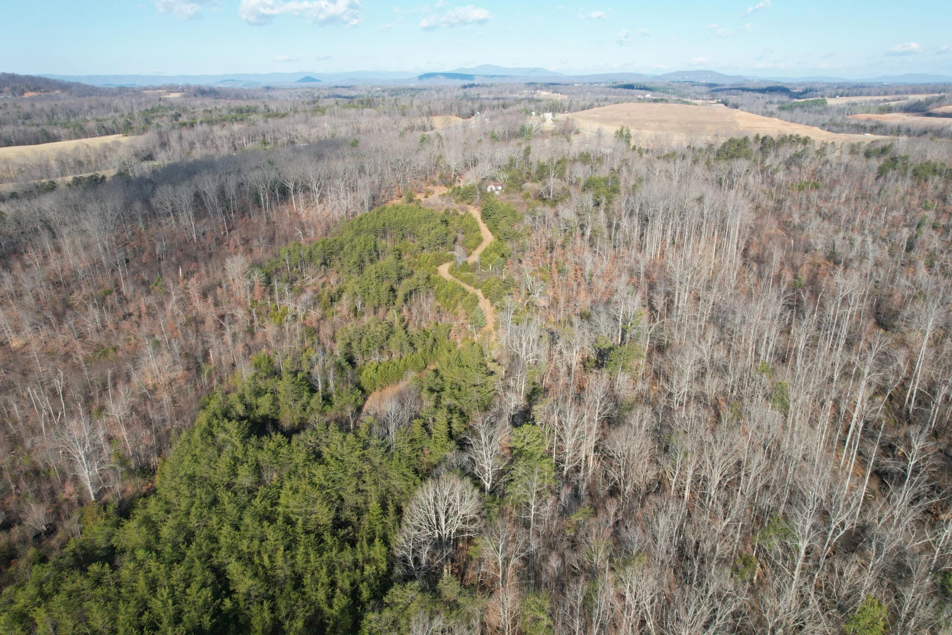 8790 Virgil H Goode Hwy - Photo 2