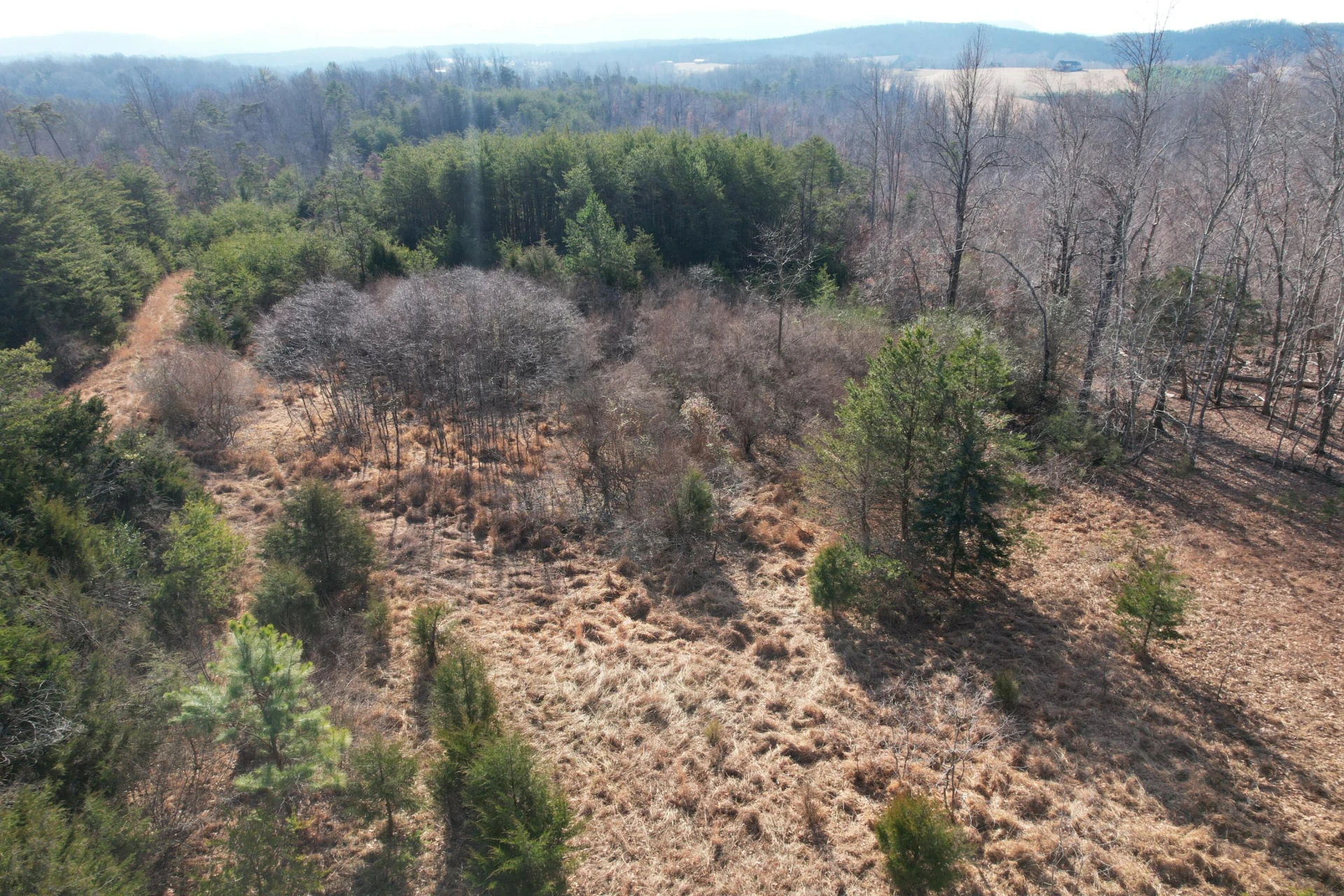 8790 Virgil H Goode Hwy - Photo 27