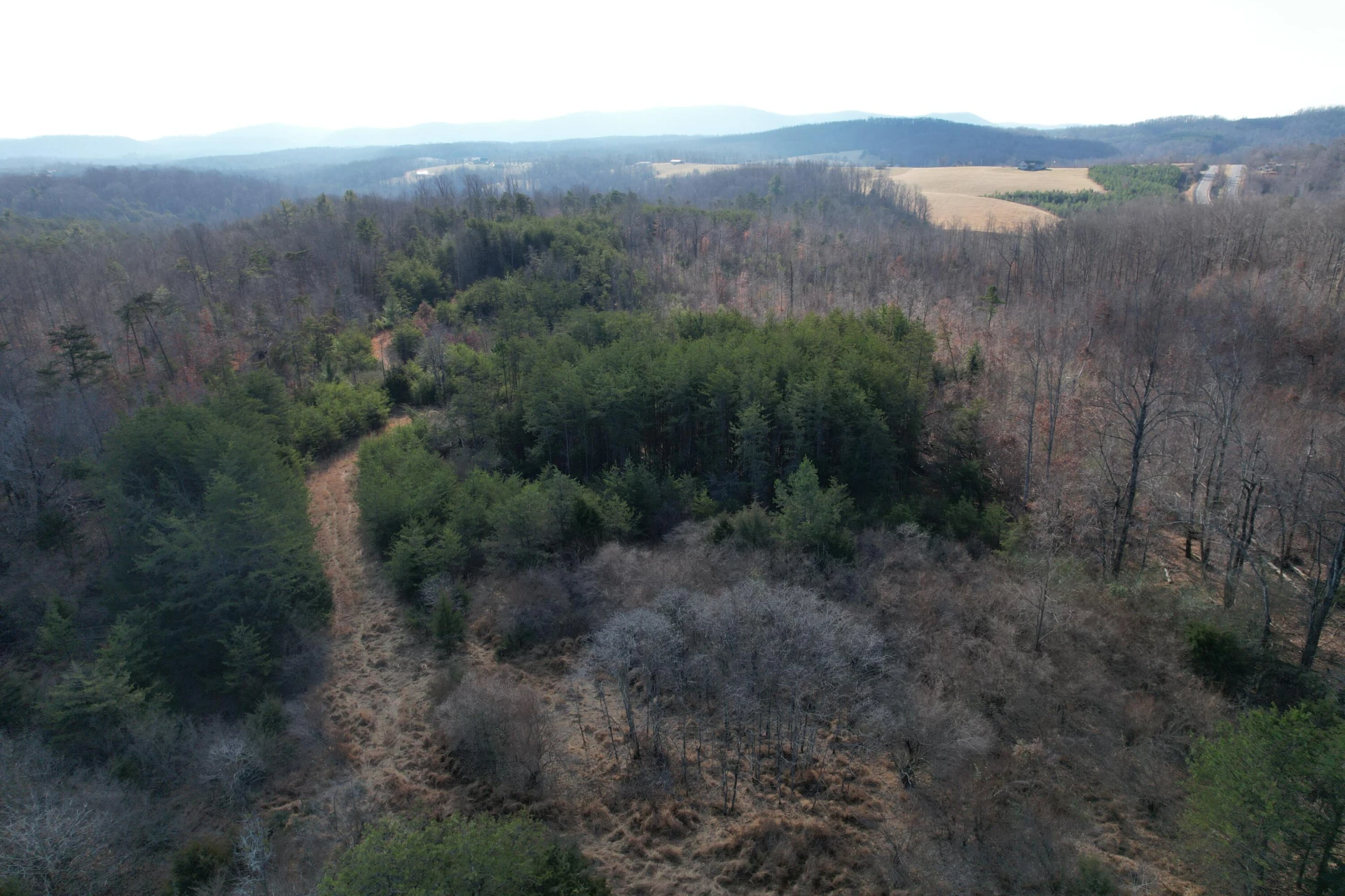 8790 Virgil H Goode Hwy - Photo 30