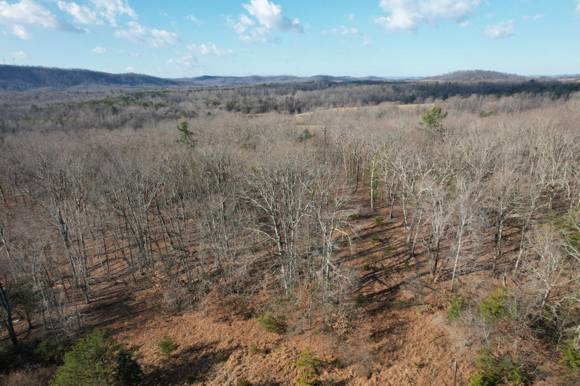 8790 Virgil H Goode Hwy - Photo 31