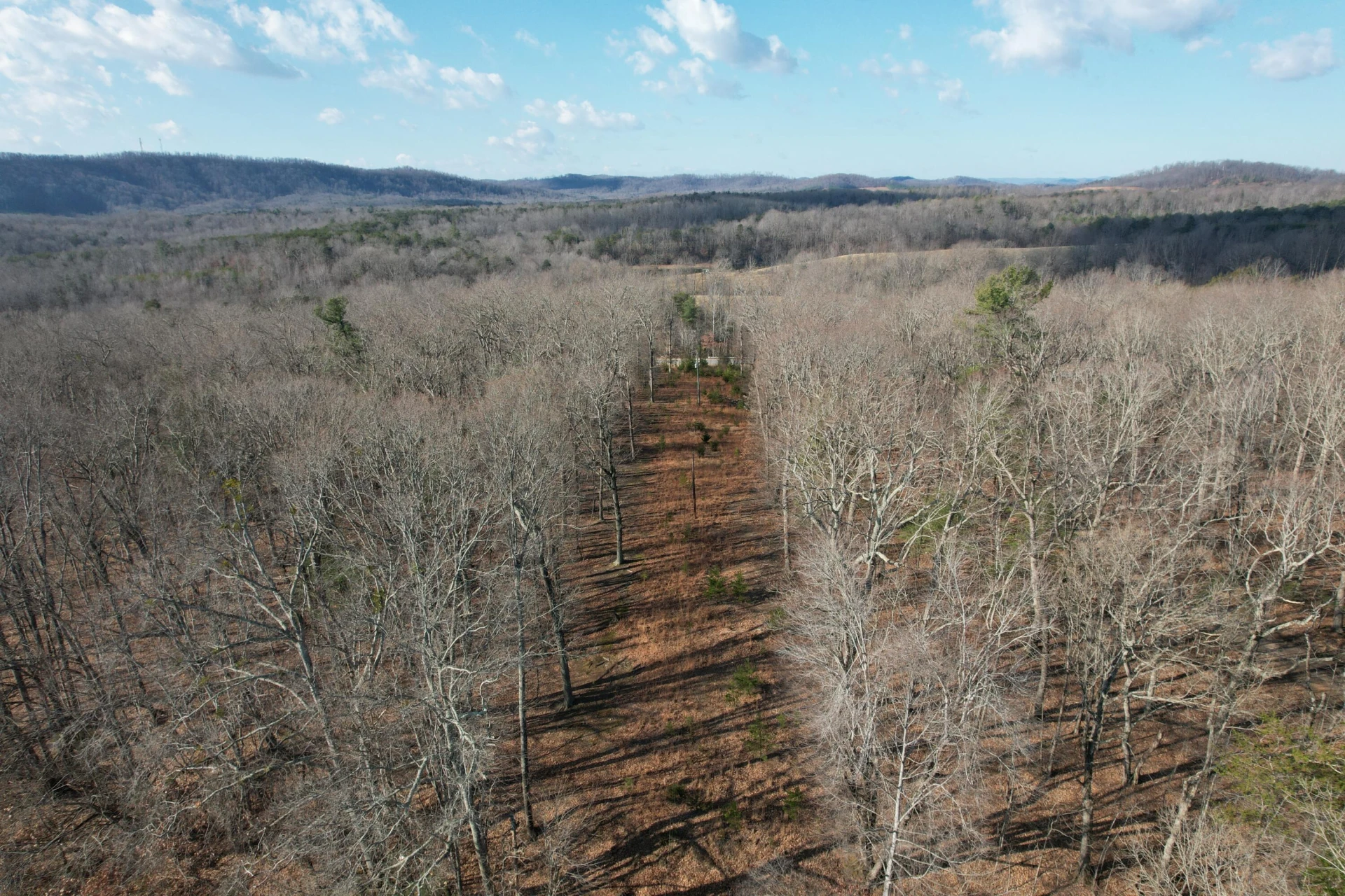 8790 Virgil H Goode Hwy - Photo 32