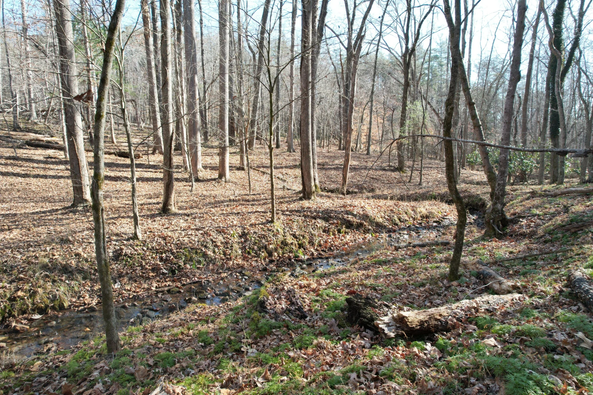 8790 Virgil H Goode Hwy - Photo 40
