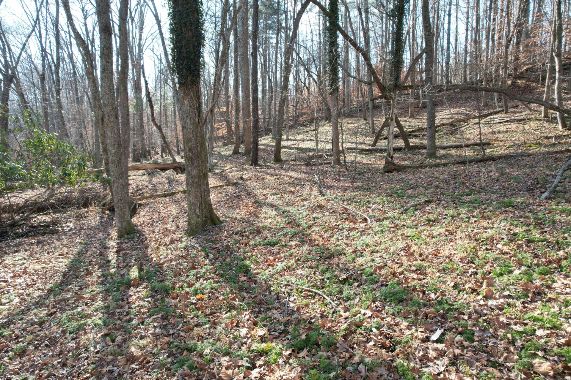 8790 Virgil H Goode Hwy - Photo 42