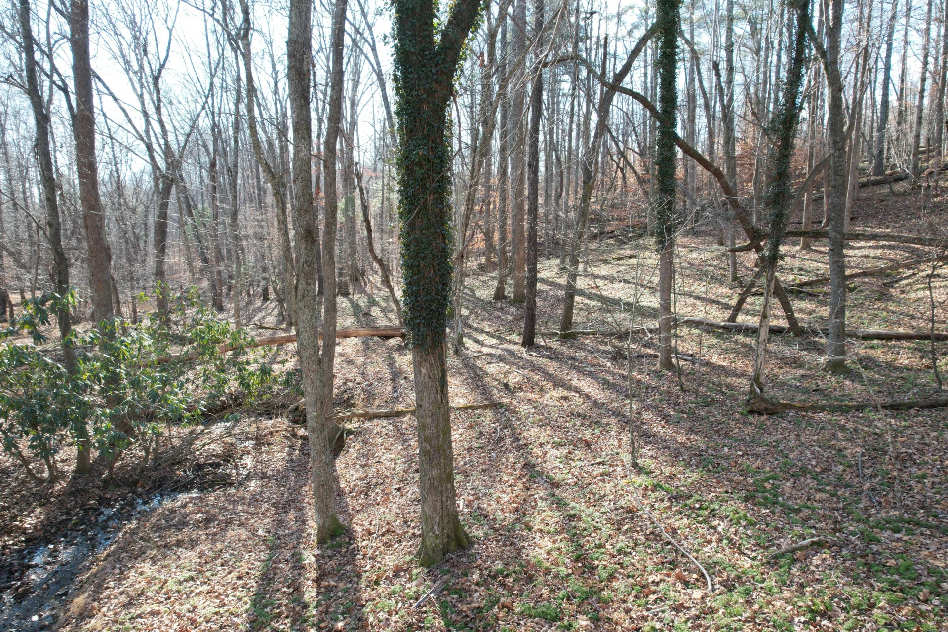 8790 Virgil H Goode Hwy - Photo 43