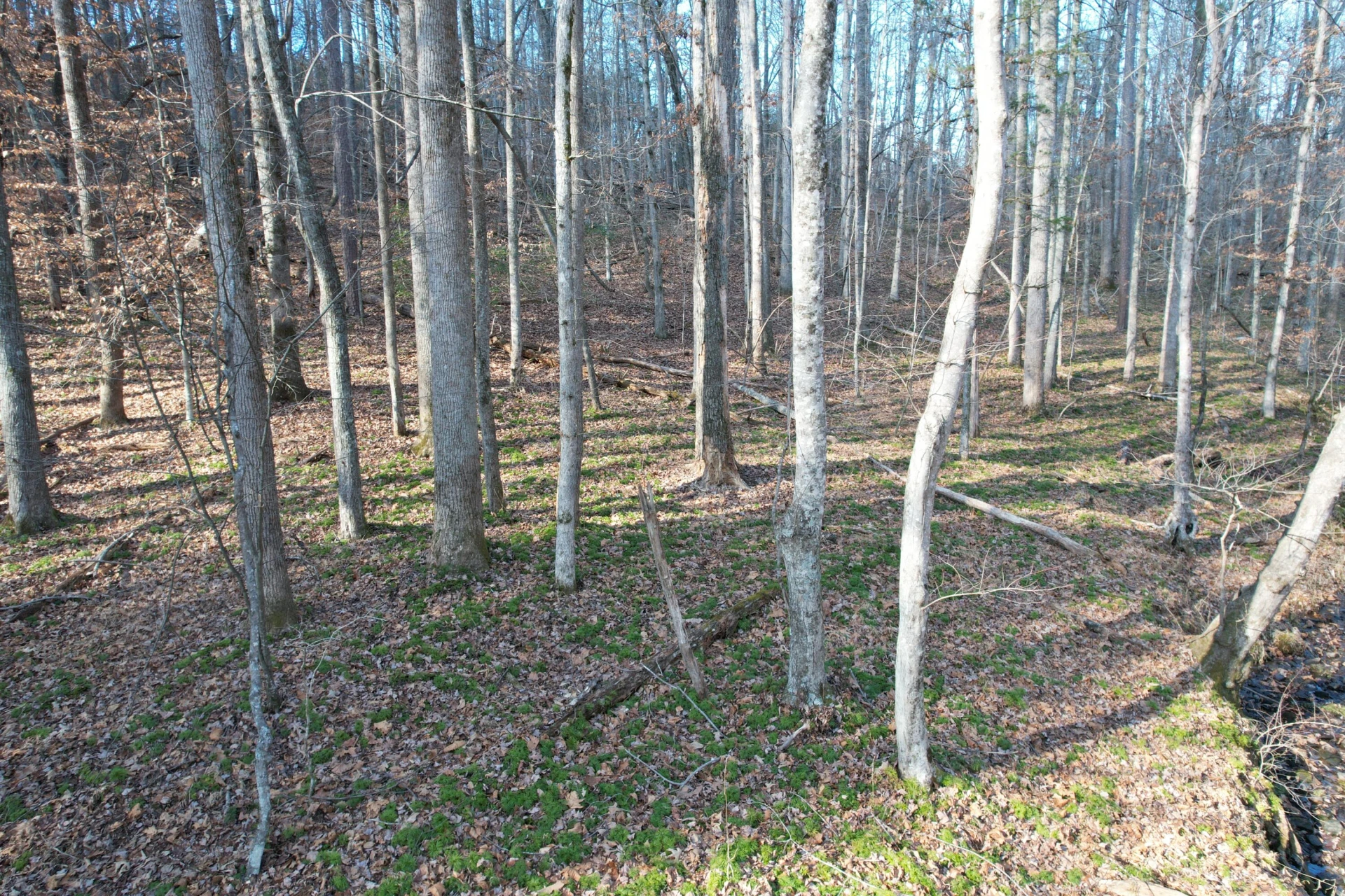 8790 Virgil H Goode Hwy - Photo 45