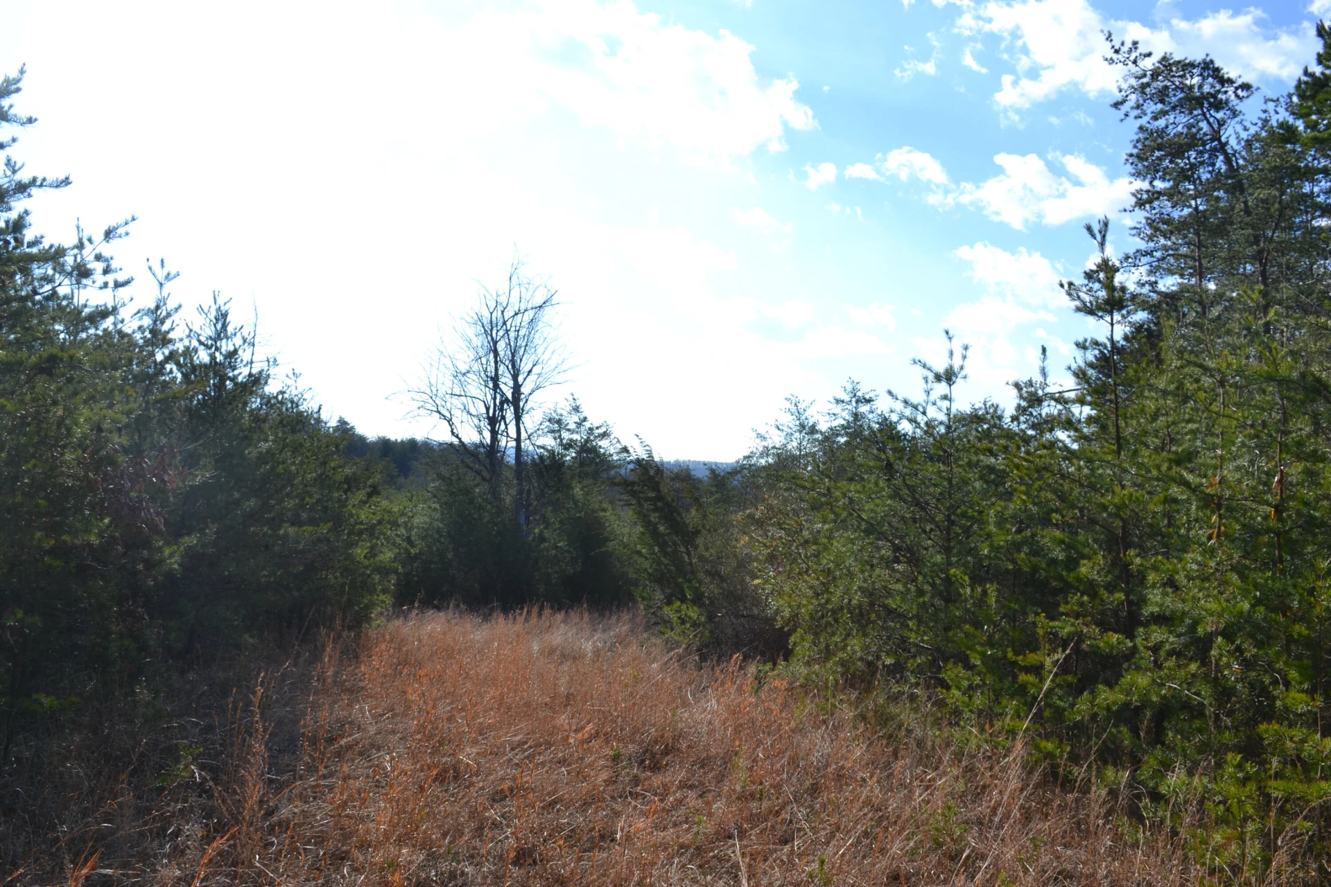 8790 Virgil H Goode Hwy - Photo 46