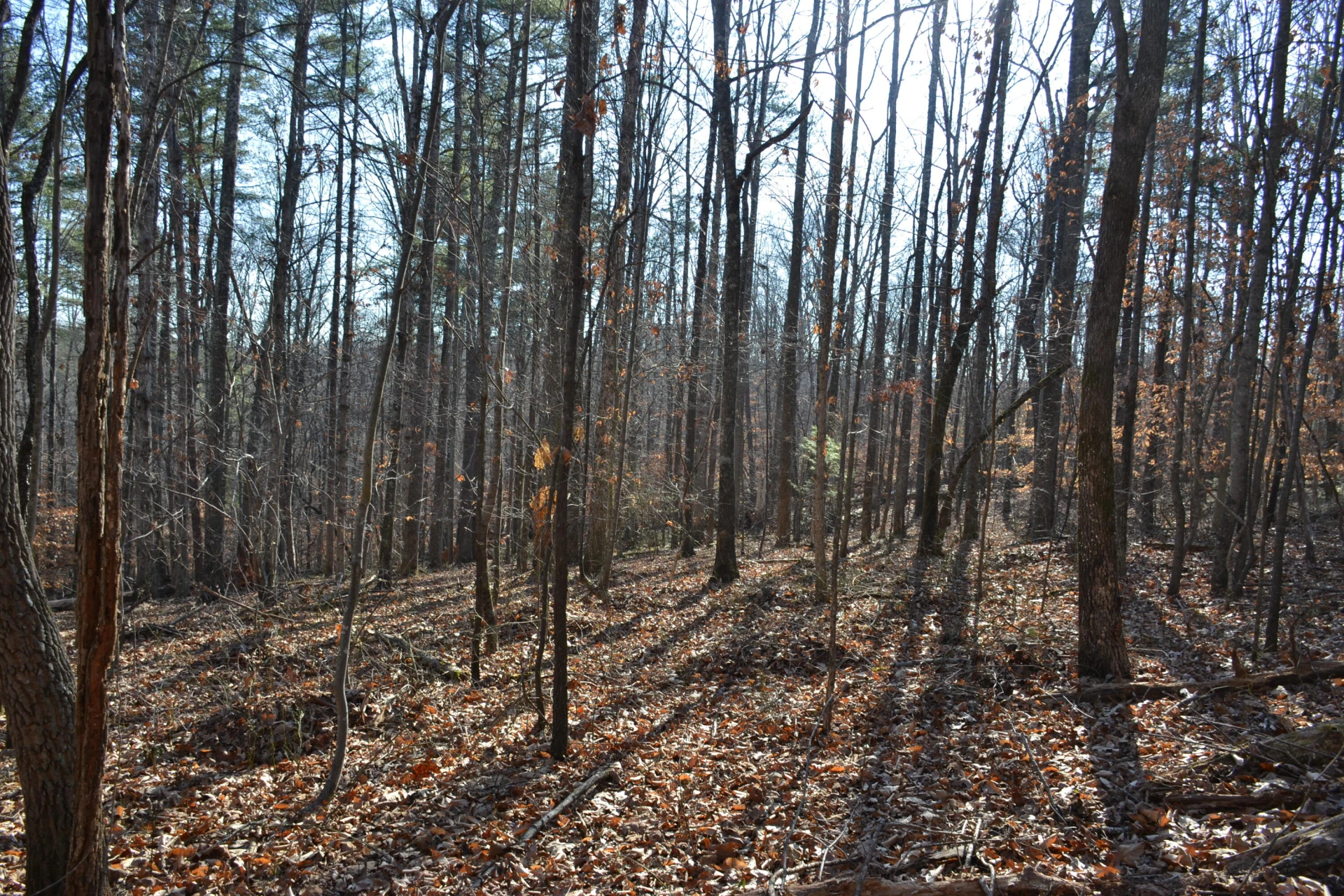 8790 Virgil H Goode Hwy - Photo 50