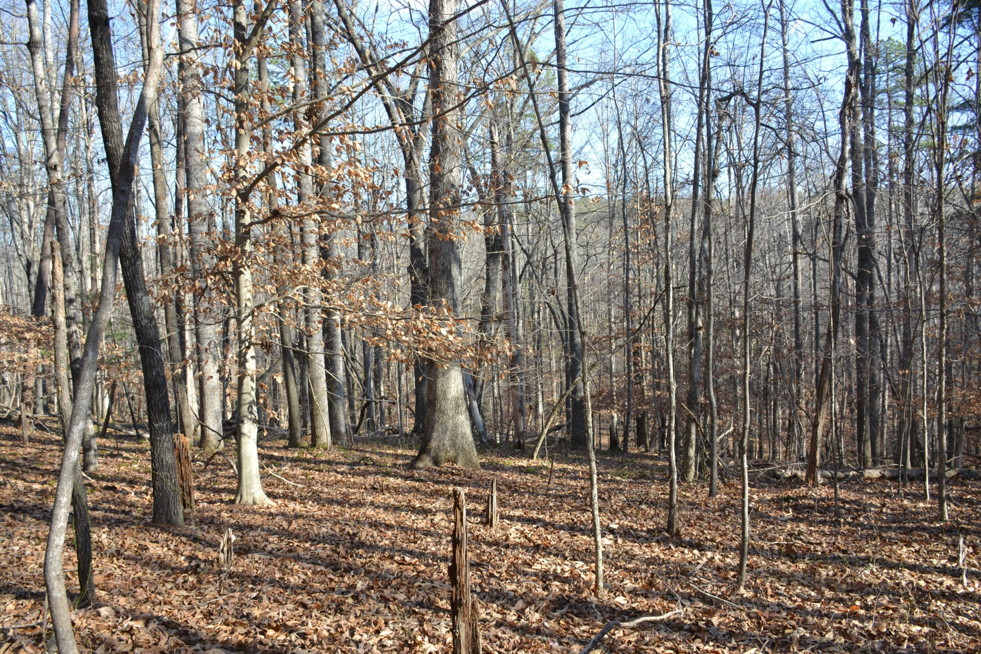 8790 Virgil H Goode Hwy - Photo 51