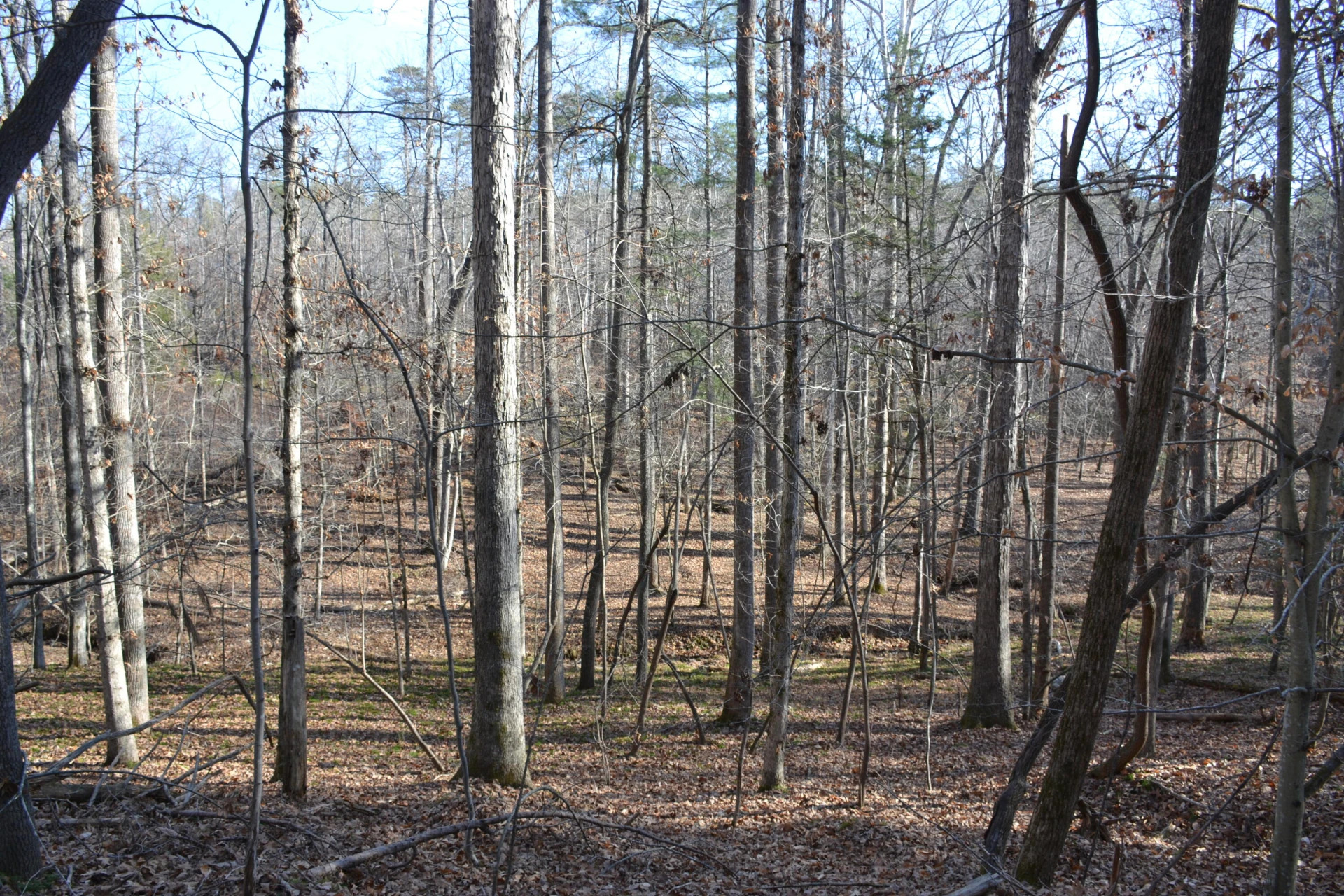 8790 Virgil H Goode Hwy - Photo 52