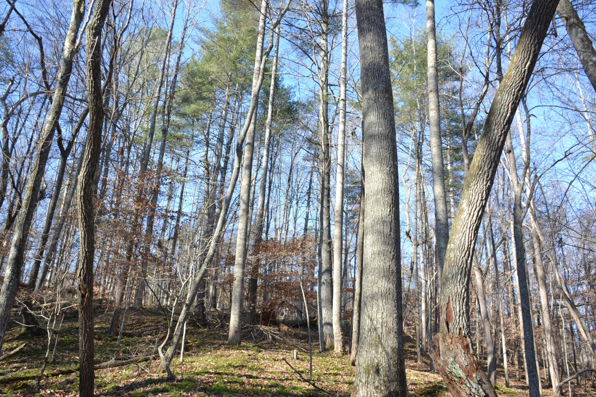 8790 Virgil H Goode Hwy - Photo 60